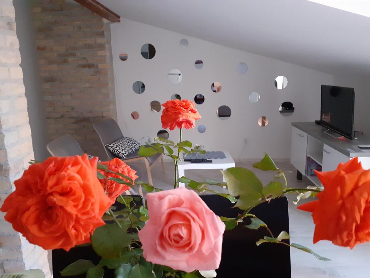 Flora Novi Sad Leilighet Eksteriør bilde